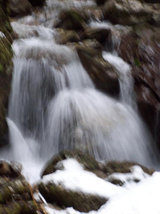 Tiarno di Sopra B&B Ai Pini מראה חיצוני תמונה