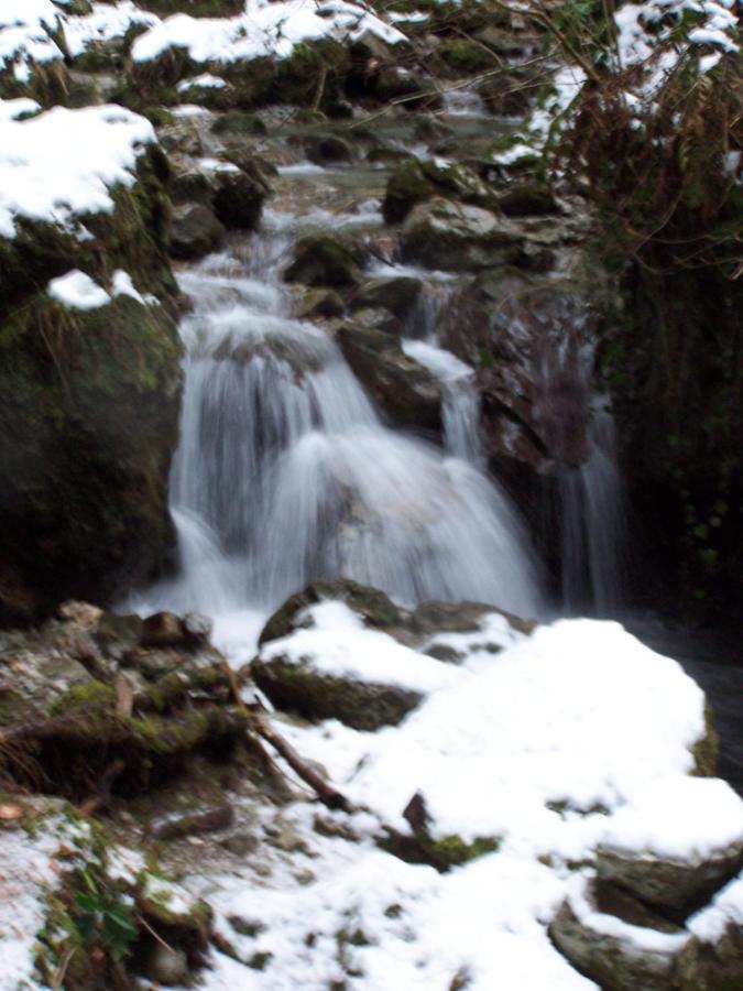 Tiarno di Sopra B&B Ai Pini מראה חיצוני תמונה